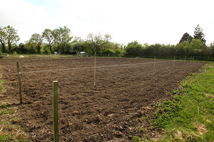 prepared orchard soil
